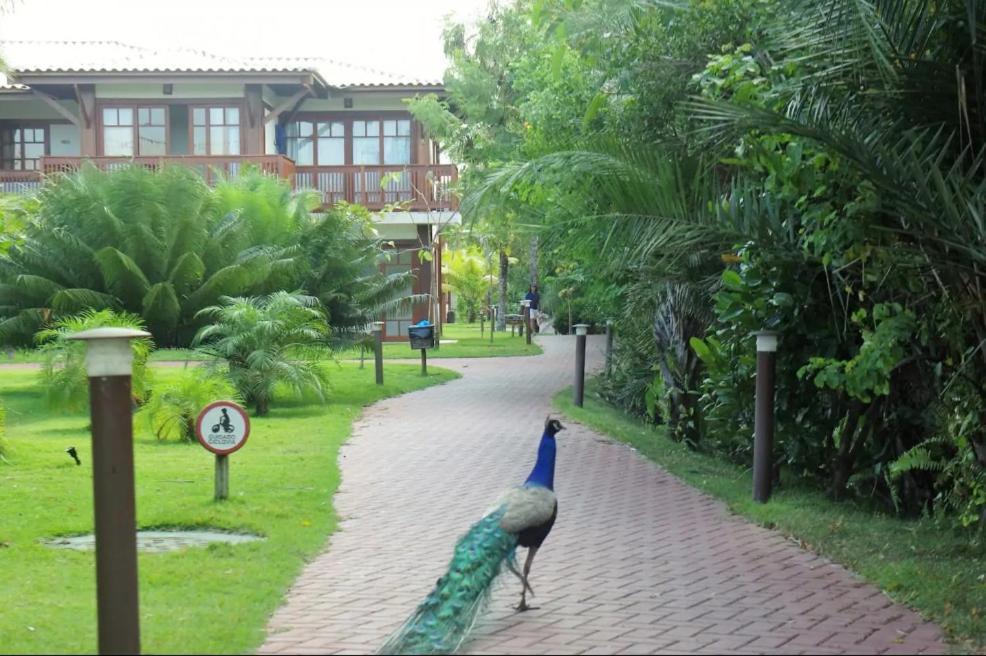 Villa Da Enseada, Praia Do Forte Luaran gambar