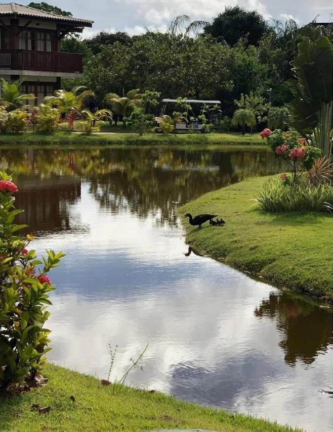 Villa Da Enseada, Praia Do Forte Luaran gambar